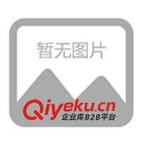 租賃廣州地區(qū)柴油發(fā)電機(jī)，租賃廣州地區(qū)柴油發(fā)電機(jī)組(圖)